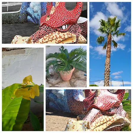Dorados Peñíscola